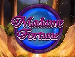Madame Fortune screenshot